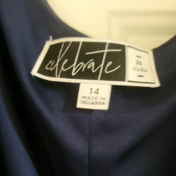 Formal Maternity Dress - Picture 2 of 4